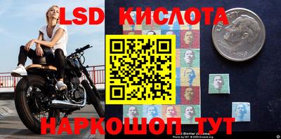 кокс Кандалакша
