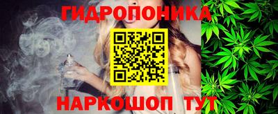 кокс Кандалакша