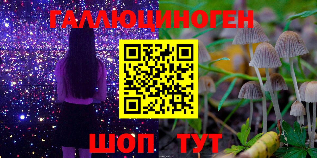 Амфетамин   LSD-25  Людиново  МЕФ кристаллы  Вход с VPN  Каннабис  ГАШ  Каннабис 