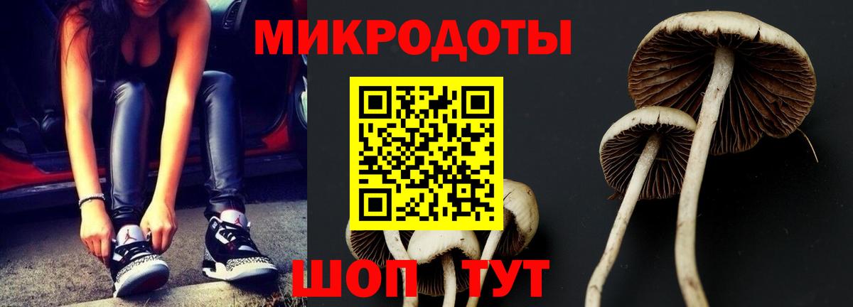 Псилоцибиновые грибы Psilocybine cubensis Людиново